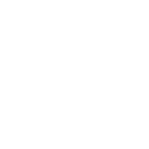 Sarto Logo