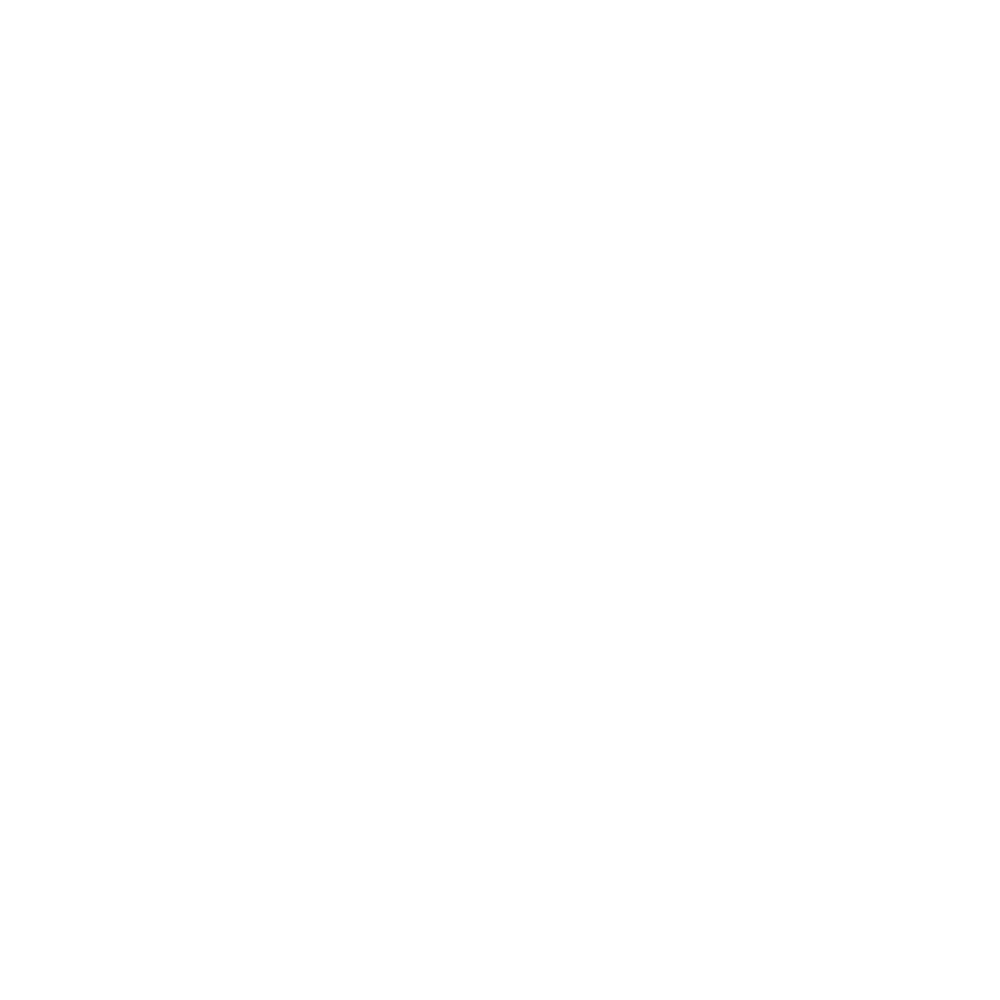 Sarto Logo